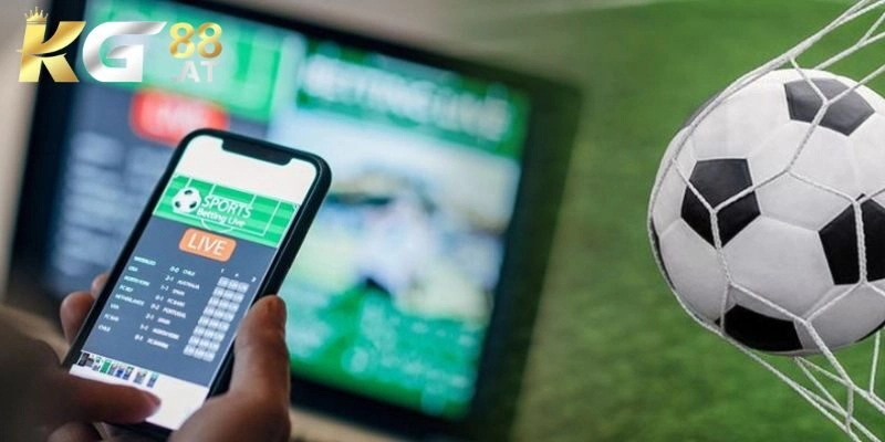 Có đa dạng các hình thức cá cược hợp pháp cho người chơi lựa chọn