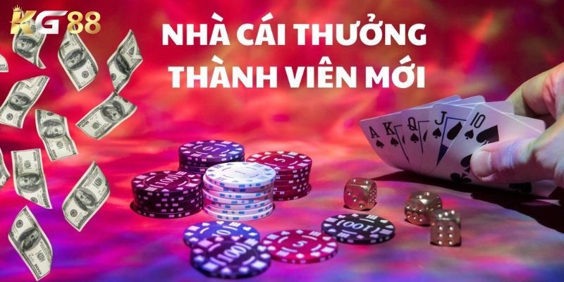Các lưu ý quan trọng hỗ trợ cho bạn