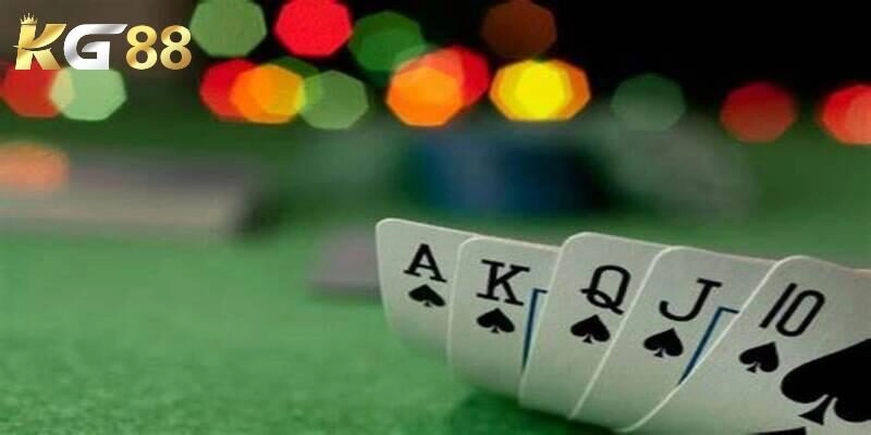 Giới thiệu về bộ bài sử dụng