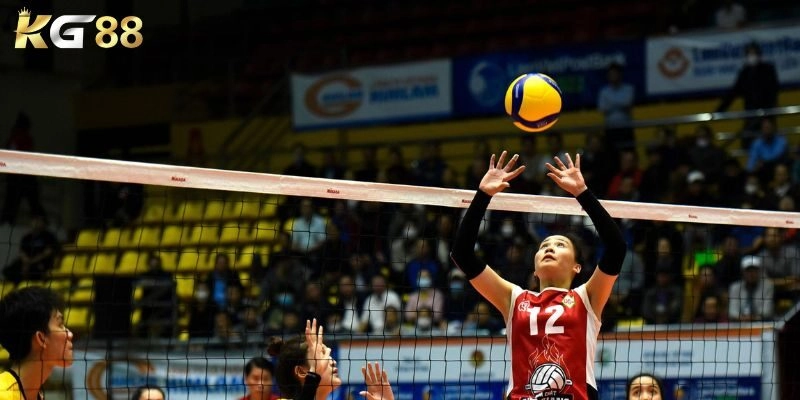 Đặt cược các kèo bóng chuyền