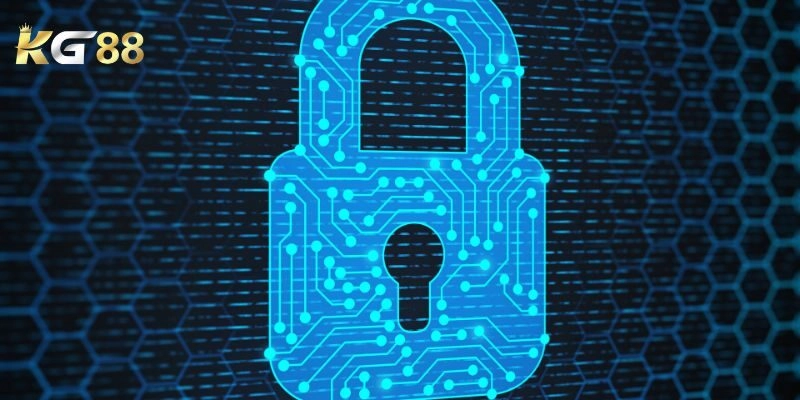 Những nội dung khác trong chính sách của nhà cái