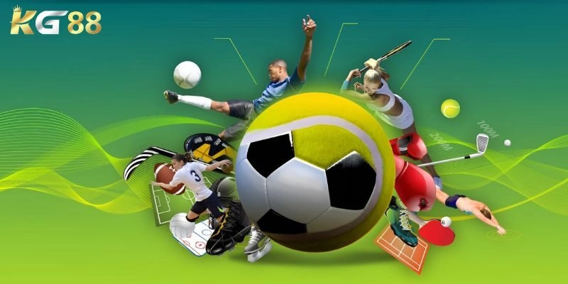 Sân chơi hấp dẫn được quan tâm hiện nay