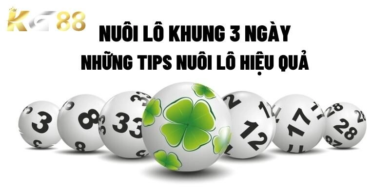 Soi Cầu Lô Khung 3 Ngày – Hướng Dẫn Cách Thức Thực Hiện